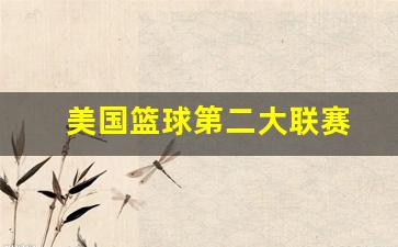 美国篮球第二大联赛-美国篮球职业大联盟