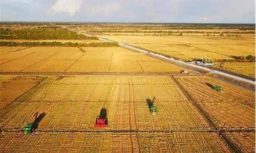 美国粮食期货实时行情走势(美国粮食期货实时行情走势最新)_https://www.cangshenghg.com_财经新闻_第1张