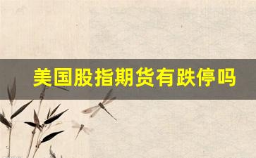 美国股指期货有跌停吗(美股股指期货跌停)_https://www.xzdzcjx.com_北交所_第1张