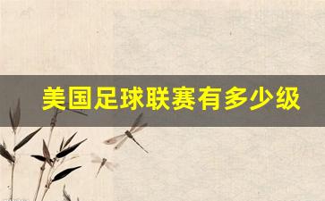 美国足球联赛有多少级别-美国足球联赛有多少级