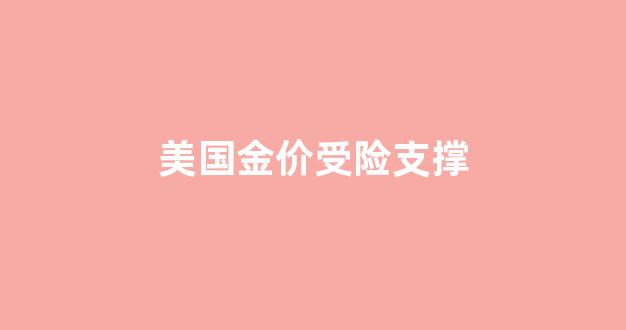 美国金价受险支撑_美国金价格