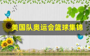 奥运 美国队 篮球-美国队奥运会篮球集锦