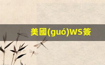 美國(guó)WS簽證(美國(guó)簽證revoke)