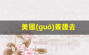 美國(guó)簽證去哪里辦(辦理美國(guó)簽證去哪里辦)