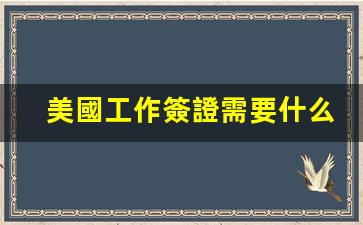 美國工作簽證申請(qǐng)條件、費(fèi)用一覽，簽證難度解析及辦理流程揭秘