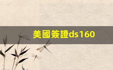 美國簽證ds160詳解，揭秘DS160表格，美國簽證申請關(guān)鍵步驟全解析