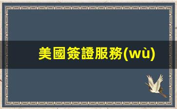 美國簽證服務(wù)中心官網(wǎng)(美國簽證服務(wù)中心官網(wǎng) 進度怎么查詢不到)
