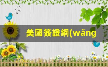 美國簽證網(wǎng)頁(美國簽證網(wǎng)頁總是閃退)