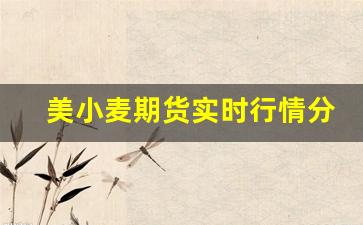 美小麦期货实时行情分析报告(小麦期货实时行情金投网)_https://www.jyywjc.com_股票板块_第1张