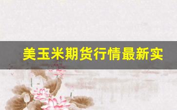 美玉米期货行情最新实时(美玉米期货行情最新实时价格)_https://www.erdeww.com_期货_第1张