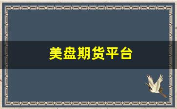 美盘期货平台(美盘期货怎么开户)_https://www.fzdzcxj.com_上交所_第1张