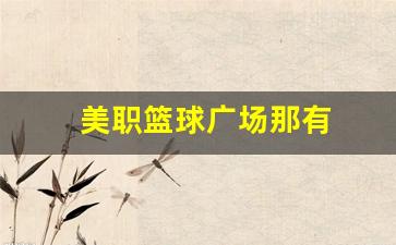 美国篮球球馆-美职篮球广场那有