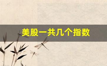 美股一共几个指数(美股有几个指数)_https://www.gzyhshgzzx.com_郑商所_第1张