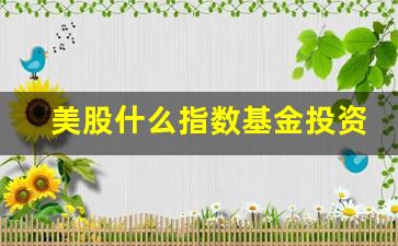 美股什么指数基金投资的价值最大(美股什么指数基金投资的价值最大为好)_https://www.gzyhshgzzx.com_大商所_第1张