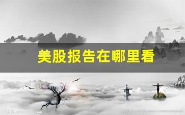美股报告在哪里看(美股的研究报告怎么找)_https://www.luoxuangg888.com_上交所_第1张
