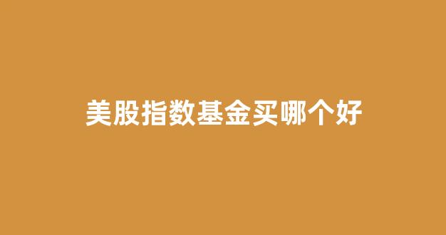 美股指数基金买哪个好(美股指数基金怎么买)_https://www.brunchezvous.com_旅游攻略_第1张
