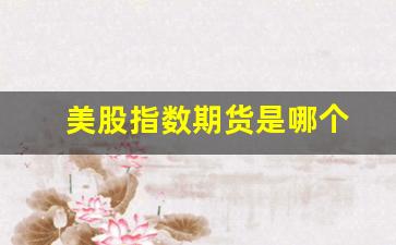 美股指数期货是哪个(美 股指期货 实时行情)_https://www.eamstsz.com_上交所_第1张