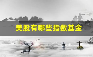 美股有哪些指数基金(美股什么指数基金投资的价值最大)_https://www.heiljjianzu.com_创业板_第1张