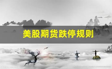 美股期货跌停规则(美股期货跌停规则是什么)_https://www.xzdzcjn.com_深交所_第1张