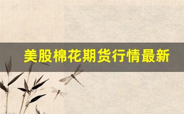 美股棉花期货行情最新价格(美股棉花期货行情最新价格走势)_https://www.jianghaiboli.com_恒指期货_第1张