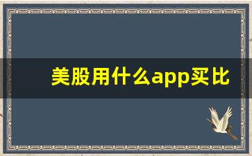 美股用什么app买比较好(买美股用哪个软件)_https://www.heiljjianzu.com_深交所_第1张