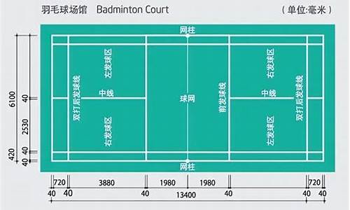 羽毛球场地尺寸标准尺寸_羽毛球场地尺寸标准