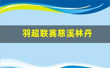羽超联赛慈溪林丹-羽毛球赛林丹