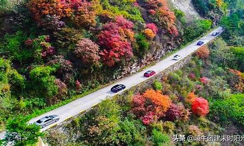 翠华山旅游攻略一日游图片,翠华山旅游攻略一日游