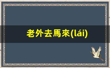 老外去馬來(lái)西亞探親簽證(馬來(lái)西亞探親簽證辦理流程)