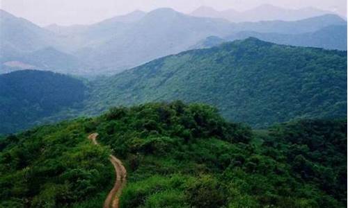 老山界 旅游_老山界原始森林公园