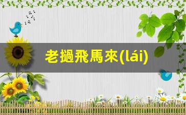 老撾飛馬來(lái)西亞怎么辦簽證(去老撾飛機(jī)票多少)