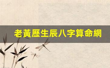 老黃歷生辰八字算命網(wǎng)(老黃歷生辰八字測(cè)命運(yùn))