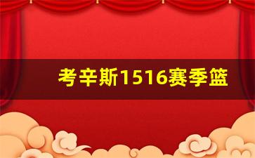 考辛斯穿的球鞋-考辛斯1516赛季篮球鞋