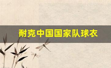 耐克中国足球国家队服装-耐克中国国家队球衣