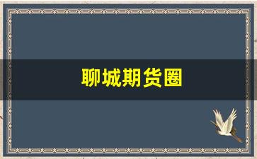 聊城期货圈(聊城期货开户在哪里)_https://www.fzdzcxj.com_北交所_第1张