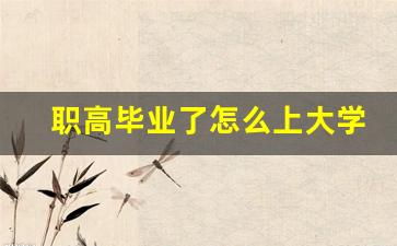 职高毕业了怎么上大学(职高毕业了还可以考大学吗)