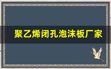 聚乙烯闭孔泡沫板厂家(聚乙烯闭孔泡沫板厂家直销)_https://www.hhem8.com_北交所_第1张