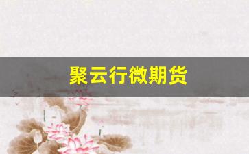 聚云行微期货(聚运期货下载)_https://www.wguangz.com_郑商所_第1张