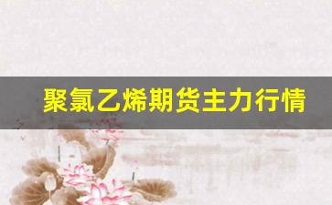 聚氯乙烯期货主力行情(聚氯乙烯 期货)_https://www.tuogunzhijia.com_纳指期货_第1张