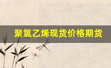 聚氯乙烯现货价格期货行情(聚氯乙烯期货价格行情走势图)_https://www.rzcpcj.com_直通车_第1张