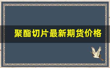 聚酯切片最新期货价格行情(聚酯切片价格行情走势全球纺织网)_https://www.jyywjc.com_股票行情_第1张
