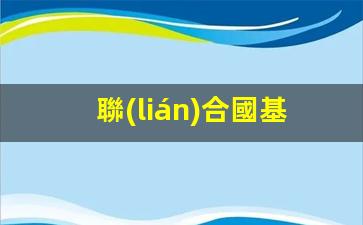 聯(lián)合國基金會兒童官網(聯(lián)合國基金會兒童官網捐款查詢)