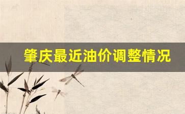 肇庆最近油价调整情况表-肇庆今日油价最新价格