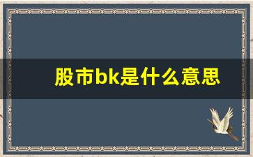 股市bk是什么意思(股市b表示什么)_https://www.hangfeite.com_科创板_第1张