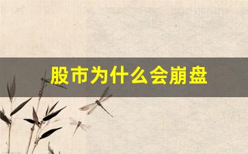 股市为什么会崩盘(股市为什么会崩盘 索尔 pan)_https://www.syklpowerbike.com_创业板_第1张