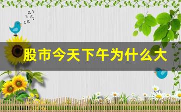 股市今天下午为什么大跌(股市今天下午为什么大跌8月11日)_https://www.syklpowerbike.com_科创板_第1张