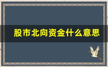 股市北向资金什么意思(怎么知道主力资金介入)_https://www.wguangz.com_大商所_第1张