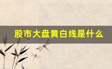 股市大盘黄白线是什么意思(大盘的黄线和白线哪种形态比较好)_https://www.heiljjianzu.com_创业板_第1张
