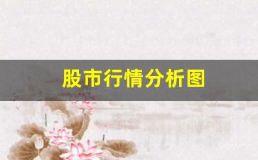 股市行情分析图(股市行情分析表)_https://www.shshucaipeisong.com_北交所_第1张