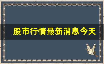 股市行情最新消息今天涨停股票(股市行情最新消息今天大跌)_https://www.brunchezvous.com_旅游攻略_第1张